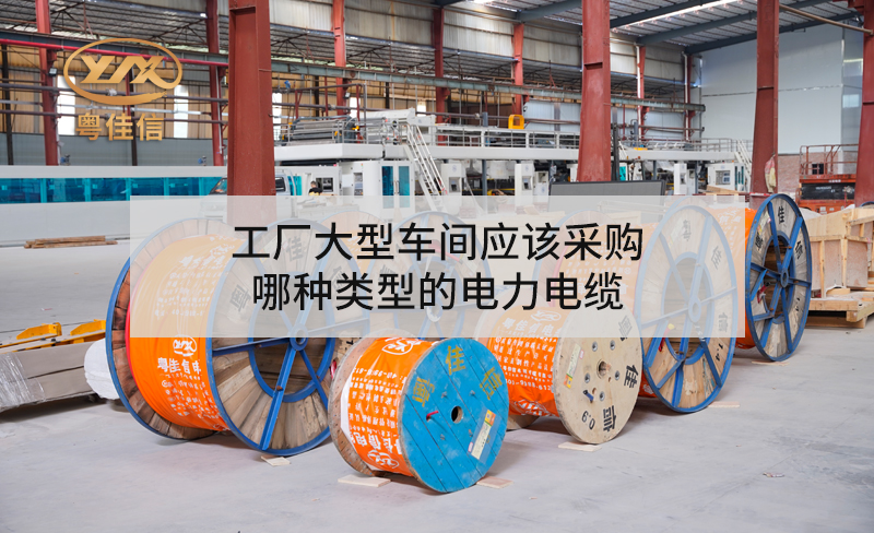 工厂大型车间应该采购哪种类型的左手视频app下载